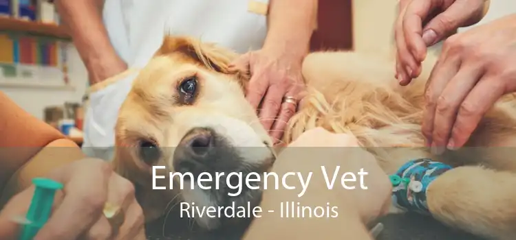 Emergency Vet Riverdale - Illinois