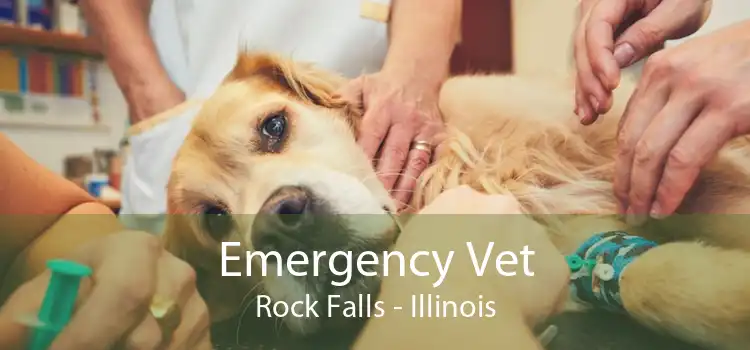 Emergency Vet Rock Falls - Illinois