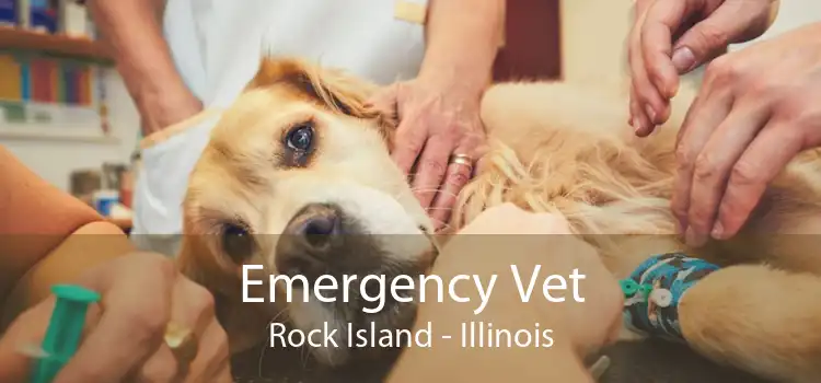 Emergency Vet Rock Island - Illinois