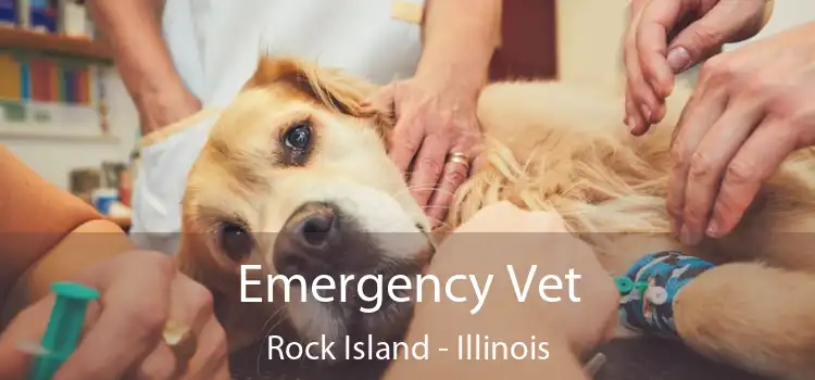 Emergency Vet Rock Island - Illinois