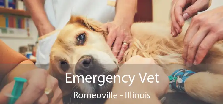 Emergency Vet Romeoville - Illinois