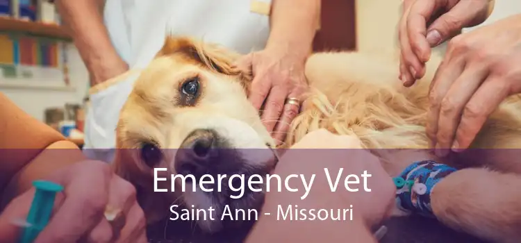 Emergency Vet Saint Ann - Missouri