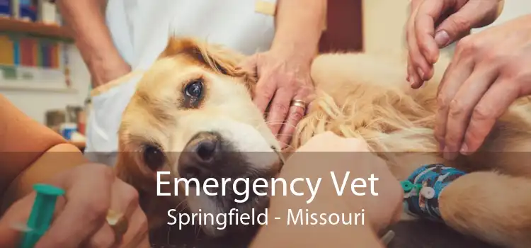 Emergency Vet Springfield - Missouri