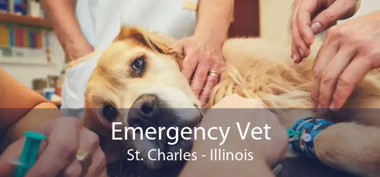 Emergency Vet St. Charles - Illinois
