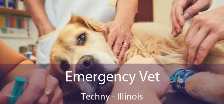 Emergency Vet Techny - Illinois