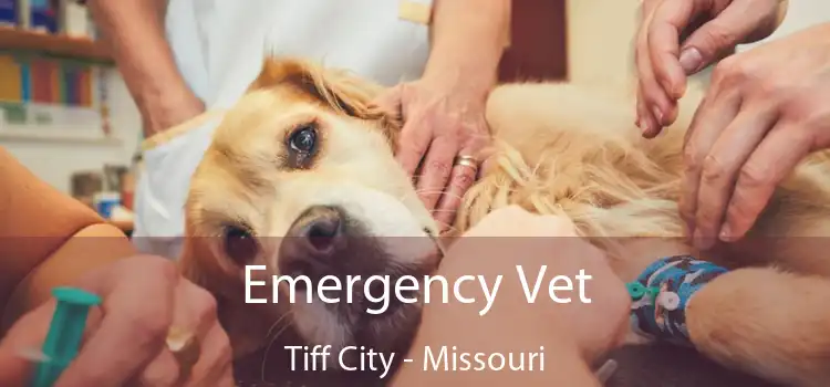 Emergency Vet Tiff City - Missouri