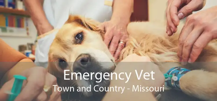 Emergency Vet Town and Country - Missouri