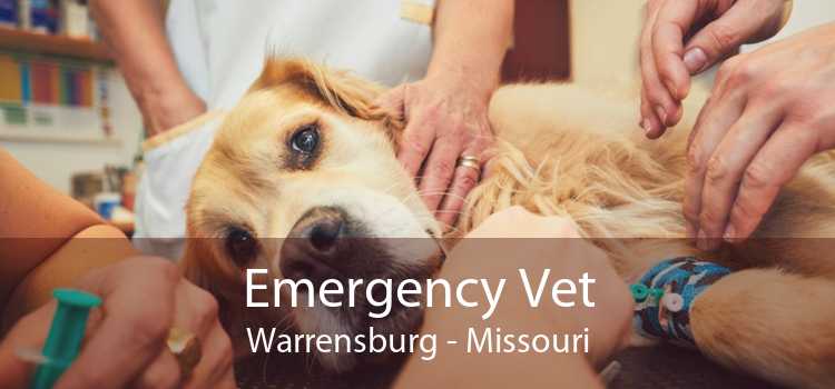 Emergency Vet Warrensburg - Missouri