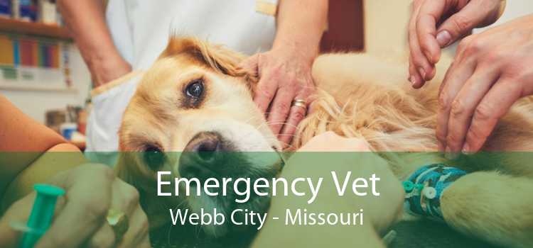 Emergency Vet Webb City - Missouri