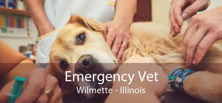 Emergency Vet Wilmette - Illinois