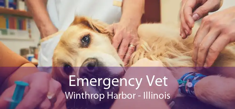 Emergency Vet Winthrop Harbor - Illinois