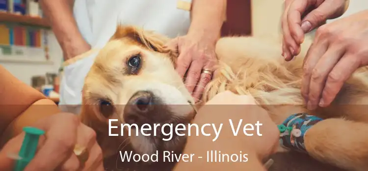 Emergency Vet Wood River - Illinois