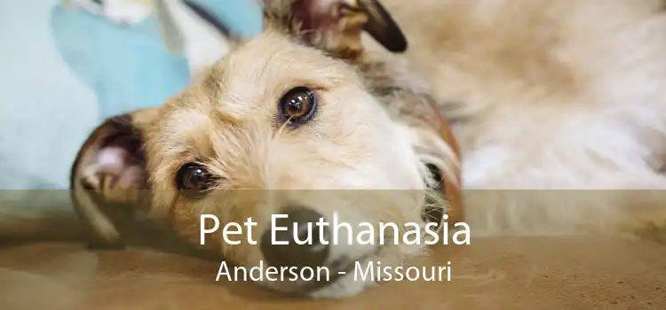 Pet Euthanasia Anderson - Missouri