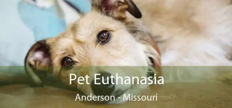 Pet Euthanasia Anderson - Missouri