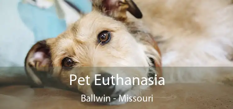 Pet Euthanasia Ballwin - Missouri