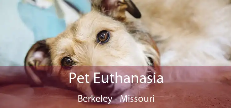 Pet Euthanasia Berkeley - Missouri