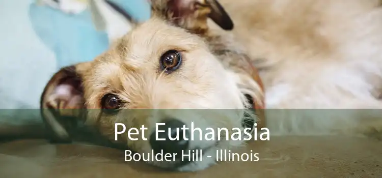 Pet Euthanasia Boulder Hill - Illinois
