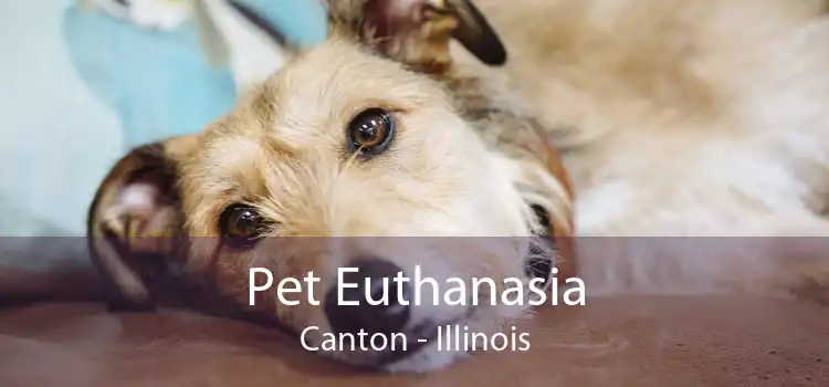 Pet Euthanasia Canton - Illinois