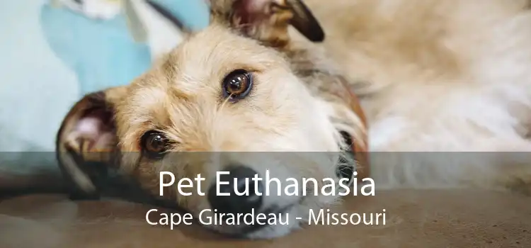 Pet Euthanasia Cape Girardeau - Missouri
