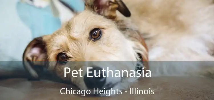 Pet Euthanasia Chicago Heights - Illinois