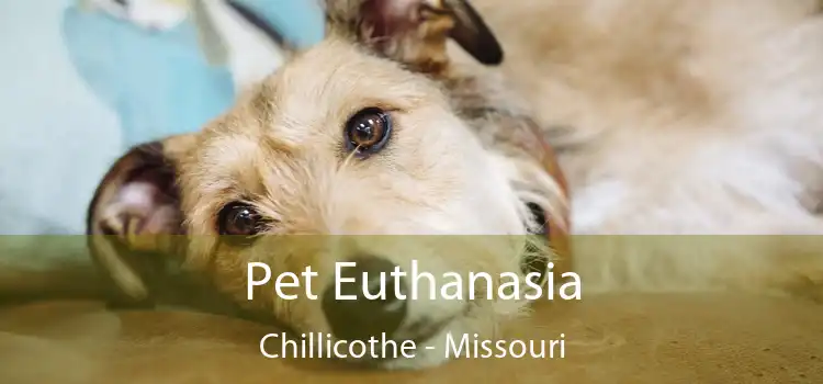 Pet Euthanasia Chillicothe - Missouri