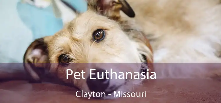 Pet Euthanasia Clayton - Missouri