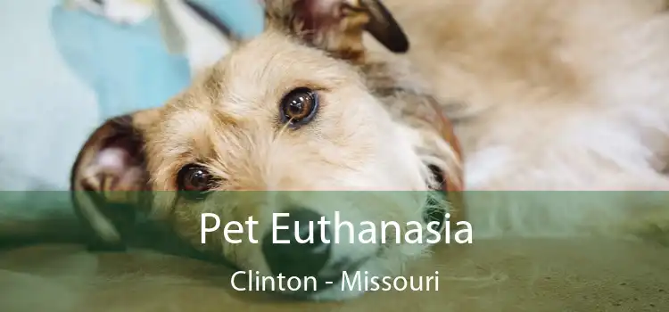 Pet Euthanasia Clinton - Missouri