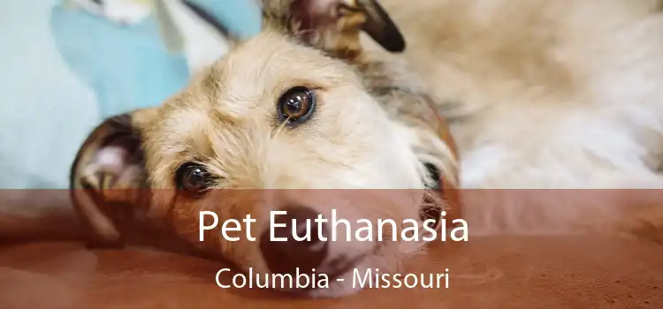 Pet Euthanasia Columbia - Missouri