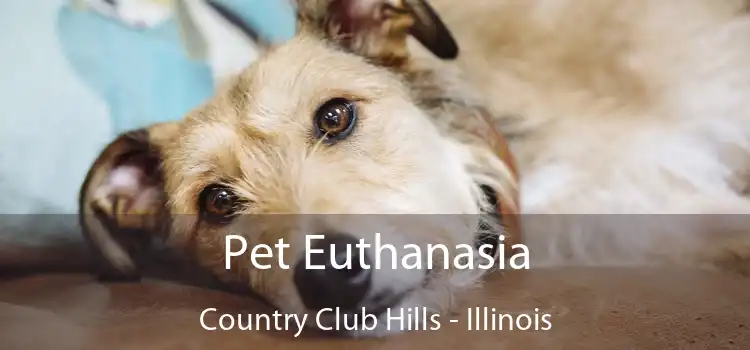 Pet Euthanasia Country Club Hills - Illinois
