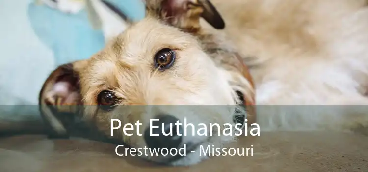Pet Euthanasia Crestwood - Missouri