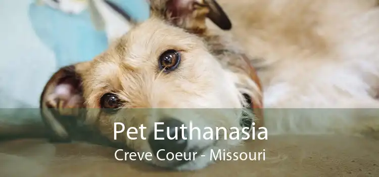 Pet Euthanasia Creve Coeur - Missouri