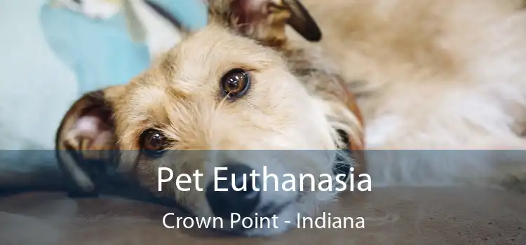 Pet Euthanasia Crown Point - Indiana