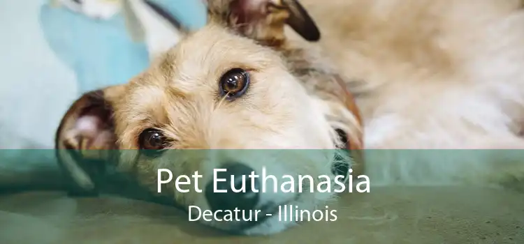 Pet Euthanasia Decatur - Illinois
