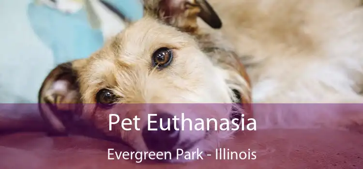 Pet Euthanasia Evergreen Park - Illinois