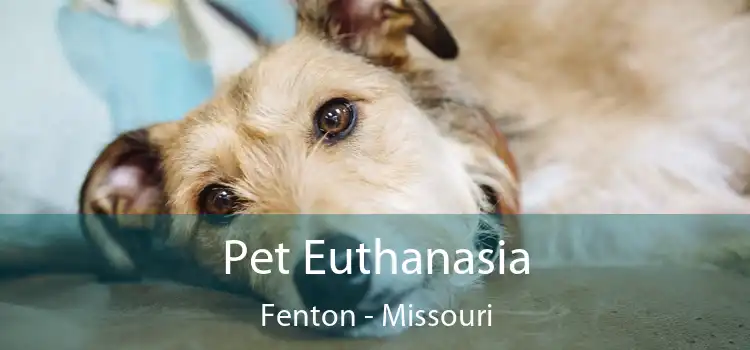 Pet Euthanasia Fenton - Missouri