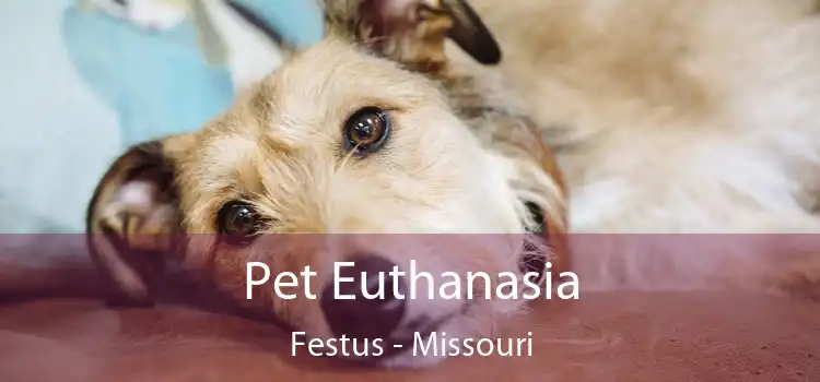 Pet Euthanasia Festus - Missouri