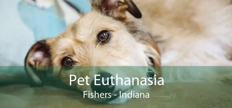 Pet Euthanasia Fishers - Indiana