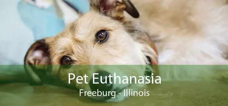 Pet Euthanasia Freeburg - Illinois