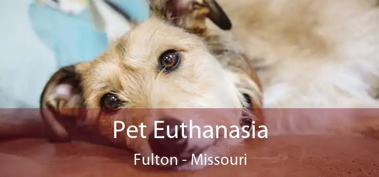 Pet Euthanasia Fulton - Missouri