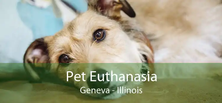 Pet Euthanasia Geneva - Illinois