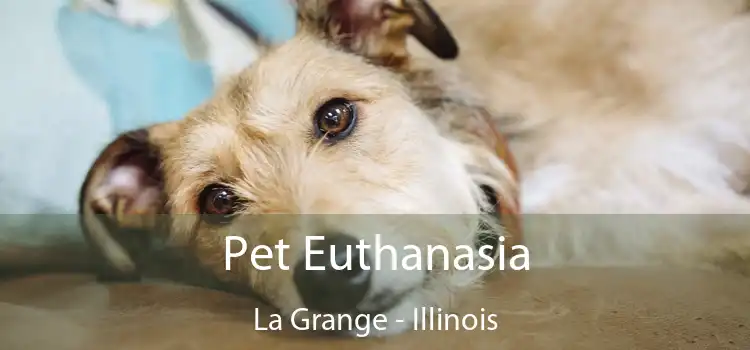 Pet Euthanasia La Grange - Illinois