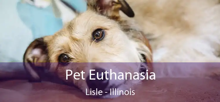 Pet Euthanasia Lisle - Illinois