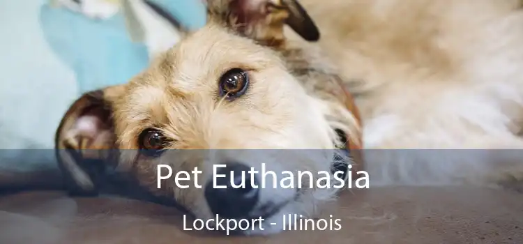 Pet Euthanasia Lockport - Illinois