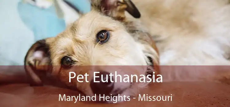 Pet Euthanasia Maryland Heights - Missouri