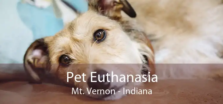 Pet Euthanasia Mt. Vernon - Indiana