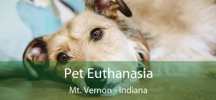 Pet Euthanasia Mt. Vernon - Indiana