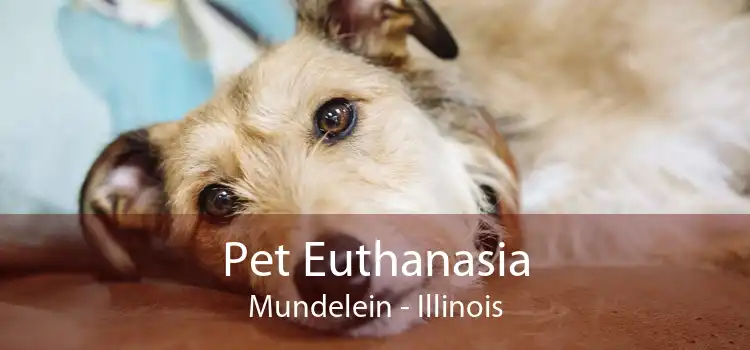 Pet Euthanasia Mundelein - Illinois