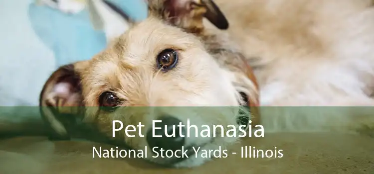 Pet Euthanasia National Stock Yards - Illinois