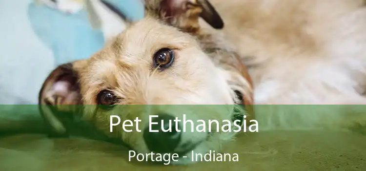 Pet Euthanasia Portage - Indiana