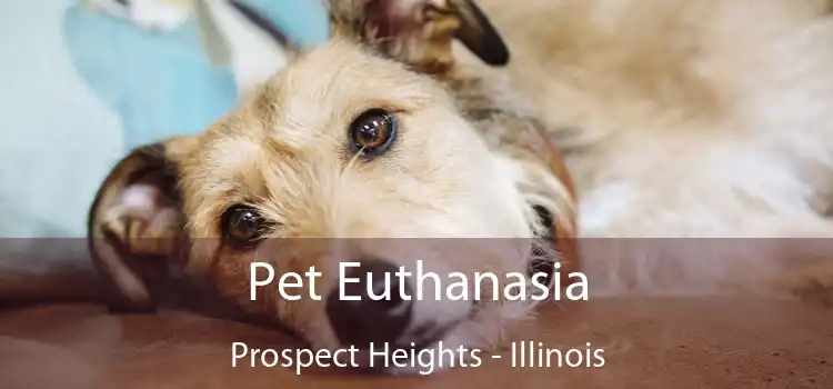 Pet Euthanasia Prospect Heights - Illinois